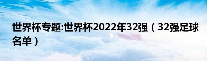 世界杯专题：世界杯2022年32强（32强足球名单）