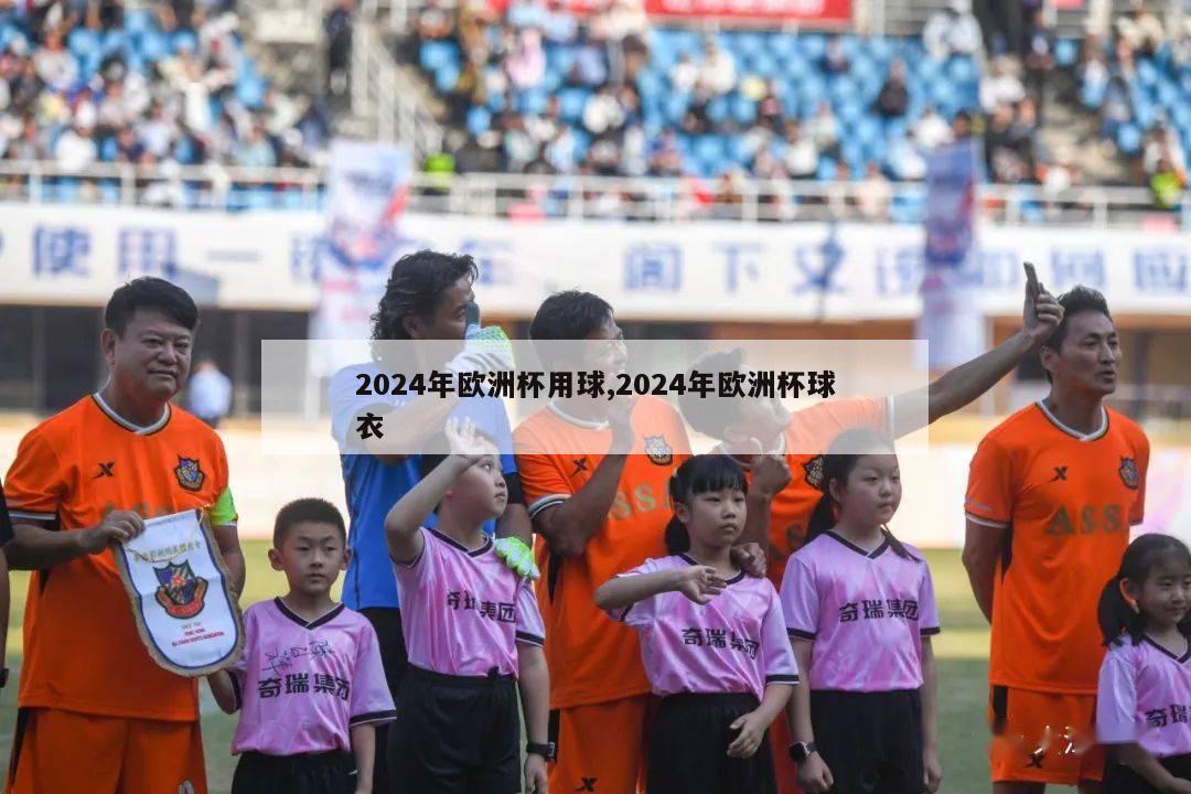 2024年欧洲杯用球,2024年欧洲杯球衣