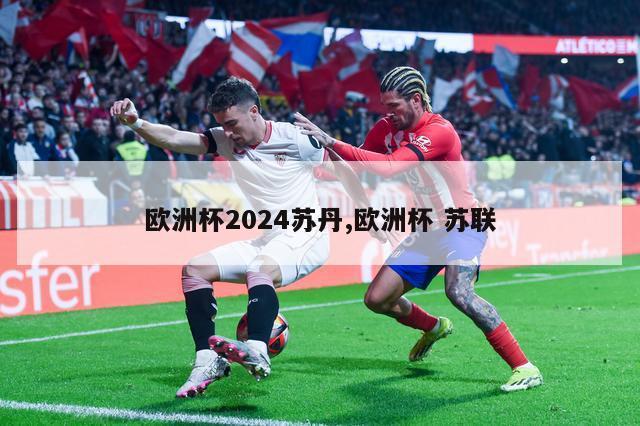 欧洲杯2024苏丹,欧洲杯 苏联