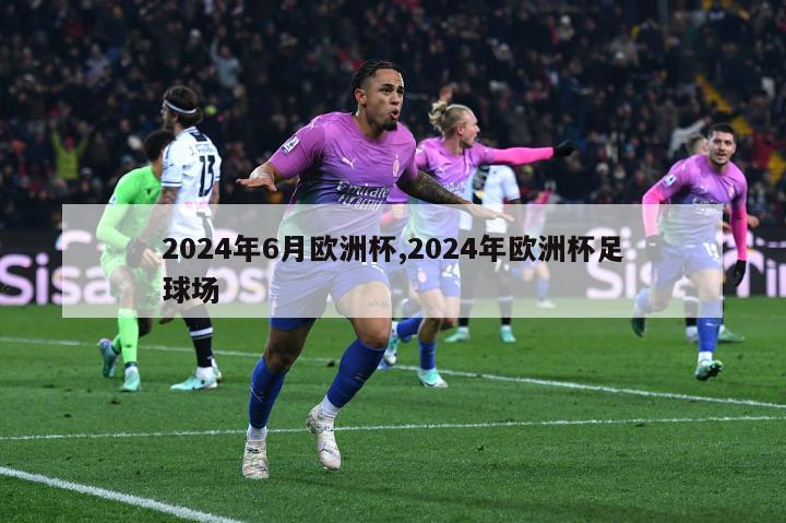 2024年6月欧洲杯,2024年欧洲杯足球场