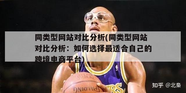 同类型网站对比分析(同类型网站对比分析：如何选择最适合自己的跨境电商平台)