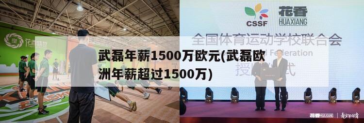 武磊年薪1500万欧元(武磊欧洲年薪超过1500万)