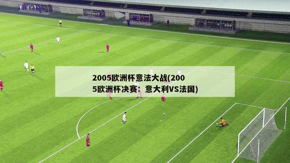 2005欧洲杯意法大战(2005欧洲杯决赛：意大利VS法国)