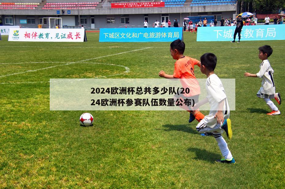 2024欧洲杯总共多少队(2024欧洲杯参赛队伍数量公布)