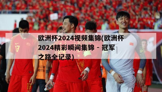 欧洲杯2024视频集锦(欧洲杯2024精彩瞬间集锦 - 冠军之路全记录)