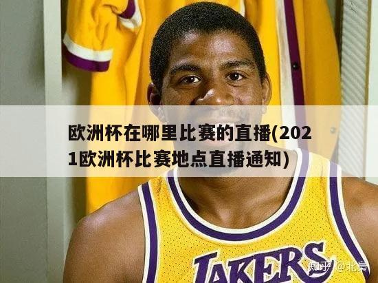 欧洲杯在哪里比赛的直播(2021欧洲杯比赛地点直播通知)