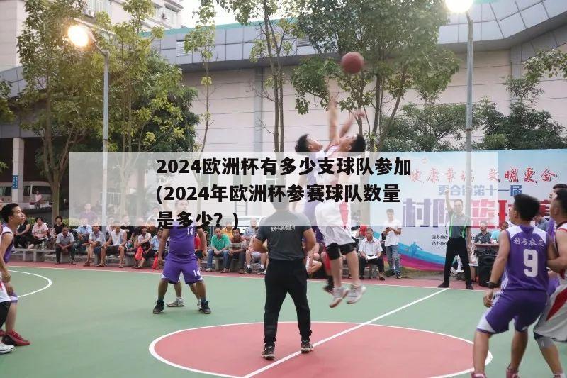 2024欧洲杯有多少支球队参加(2024年欧洲杯参赛球队数量是多少？)