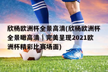 欣杨欧洲杯全景高清(欣杨欧洲杯全景瞰高清｜完美呈现2021欧洲杯精彩比赛场面)