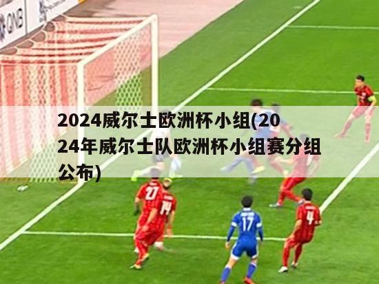 2024威尔士欧洲杯小组(2024年威尔士队欧洲杯小组赛分组公布)