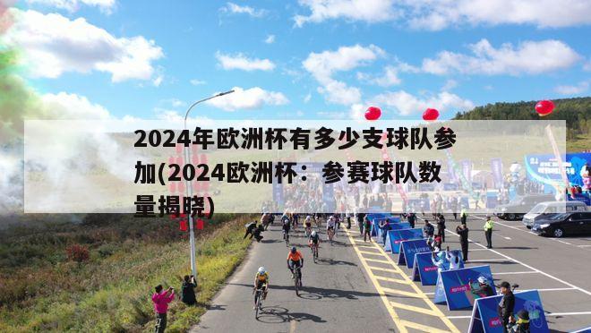 2024年欧洲杯有多少支球队参加(2024欧洲杯：参赛球队数量揭晓)