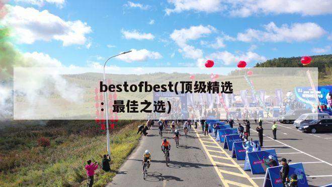 bestofbest(顶级精选：最佳之选)