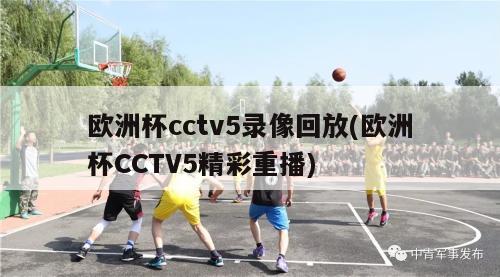 欧洲杯cctv5录像回放(欧洲杯CCTV5精彩重播)