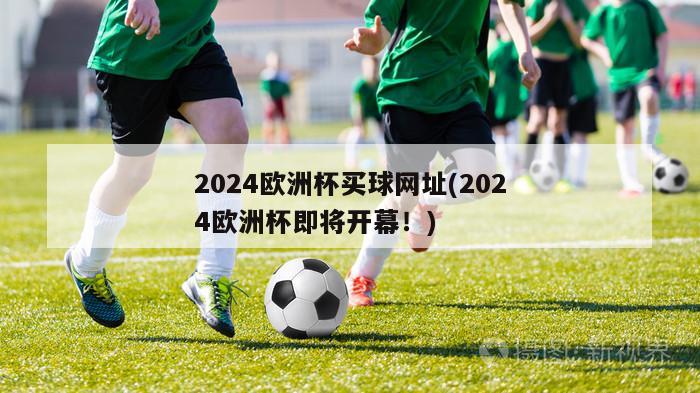 2024欧洲杯买球网址(2024欧洲杯即将开幕！)