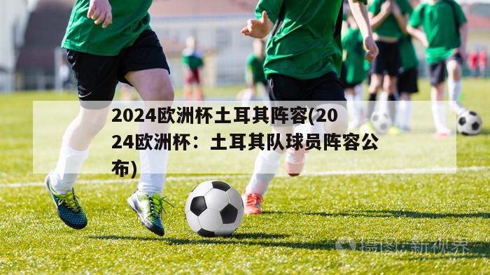 2024欧洲杯土耳其阵容(2024欧洲杯：土耳其队球员阵容公布)